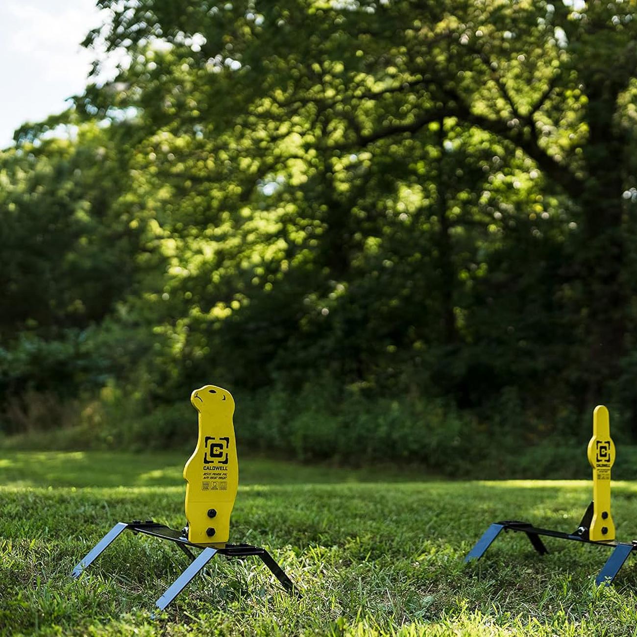 Caldwell Ar500 Auto Reset Targets With 3/8" Thickness - Prairie Dog