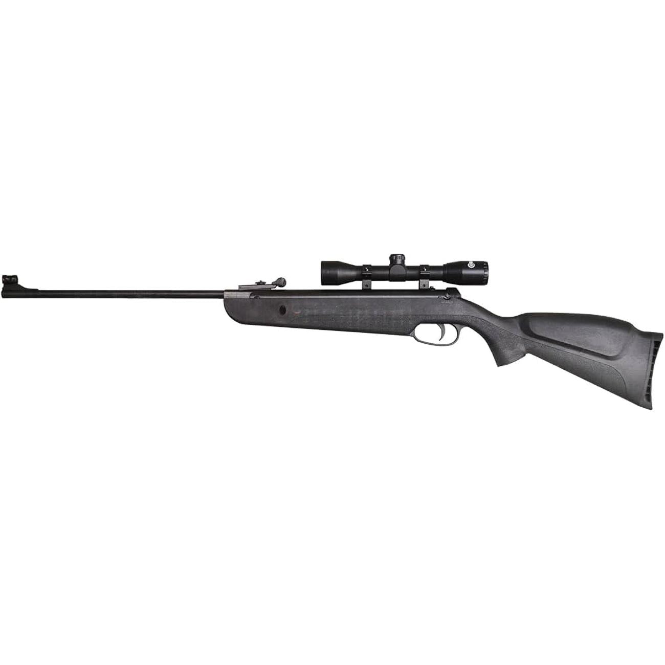 Beeman "big Bear" Air Rifle Combo