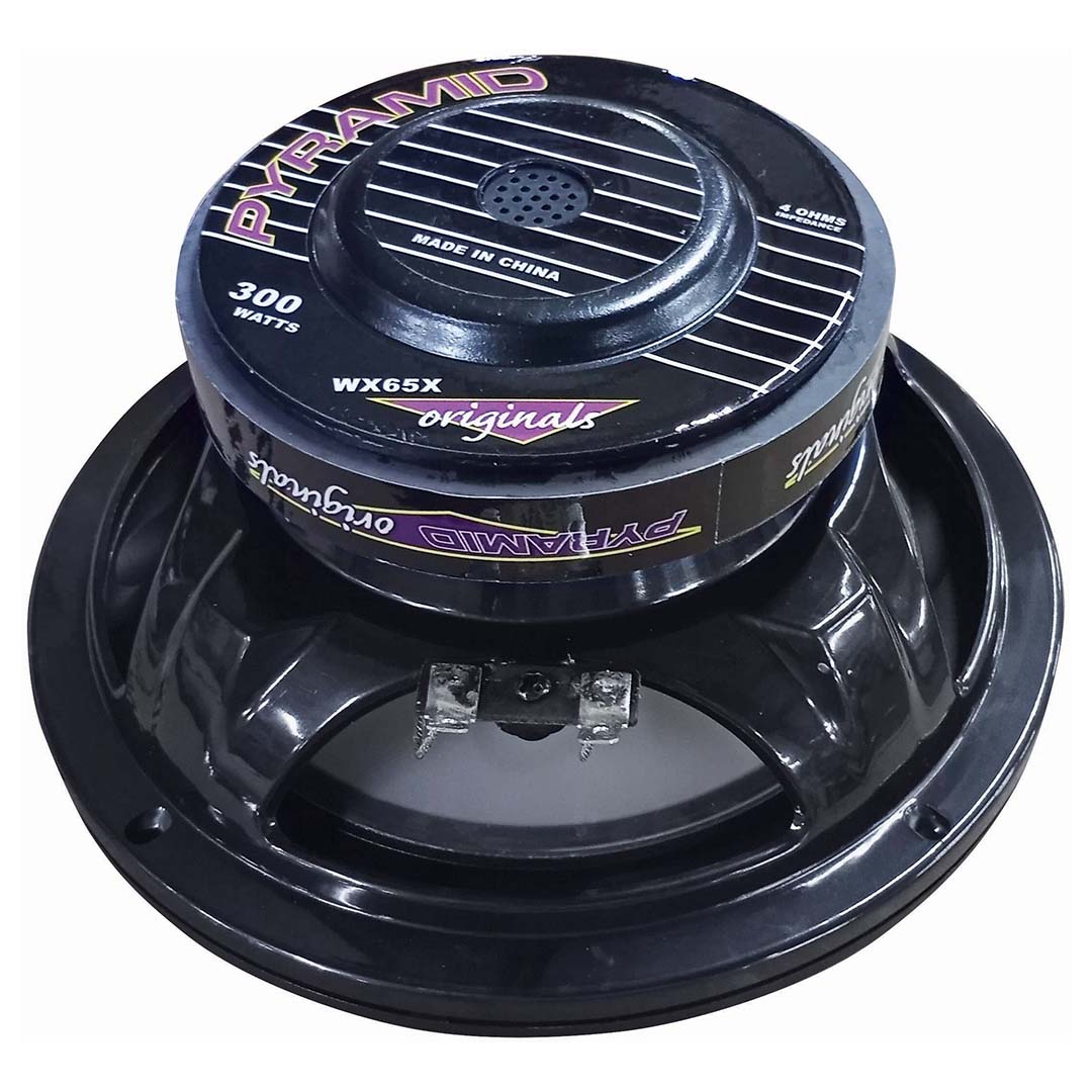 Pyramid 6.5" Midrange Speaker 150w Rms/300w Max 4 Ohm